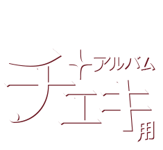 チェキ用アルバム | Instant Photo Album  コレクト